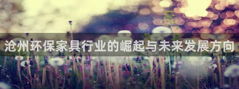 沐鸣2登录测速：沧州环保家具行业的崛起与未来发展方向