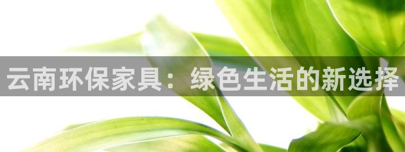 沐鸣2平台登陆官网：云南环保家具：绿色生活的新选择