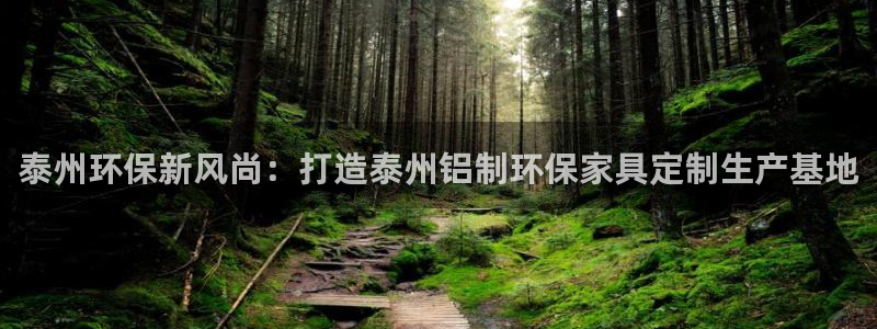 沐鸣2平台代理注册多少钱：泰州环保新风尚：打造泰州铝制环保家
