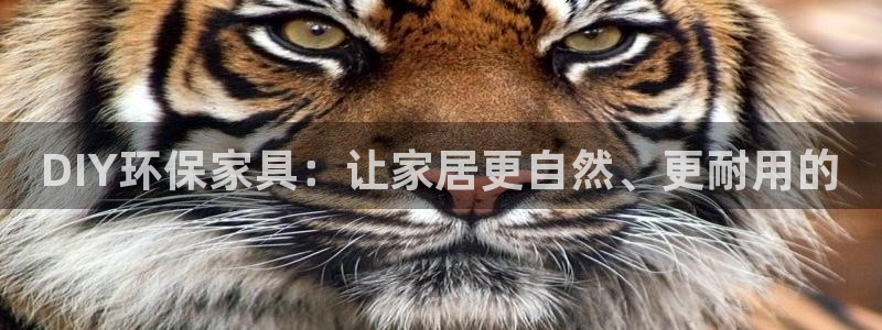 沐鸣2平台测速登陆