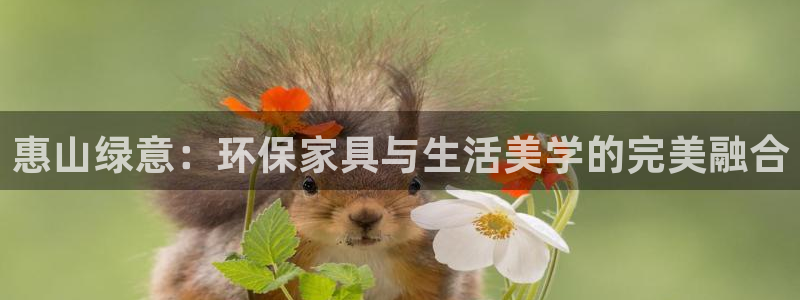 沐鸣2平台服务中心怎么样：惠山绿意：环保家具与生活美学的完美