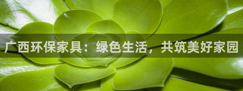 沐鸣2官网app：广西环保家具：绿色生活，共筑美好家园