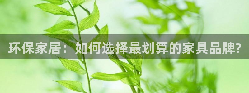 沐鸣2平台官方网站