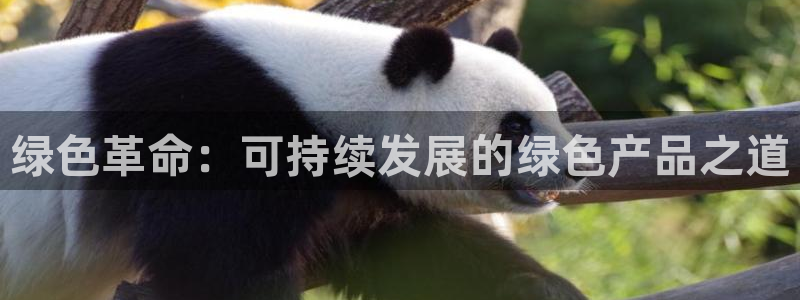 沐鸣2平台可以提款吗：绿色革命：可持续发展的绿色产品之道