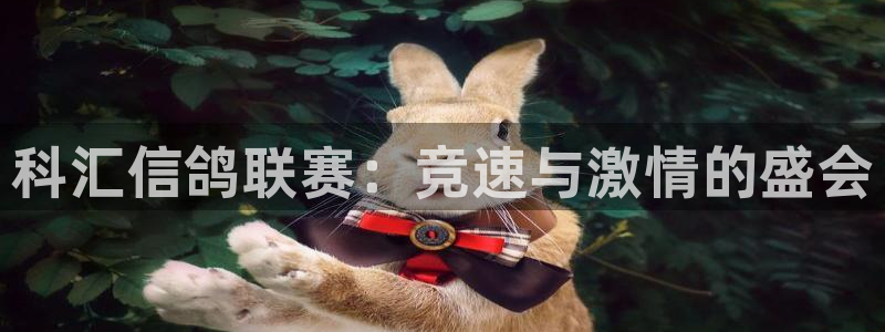 咪咕高清免费直播：科汇信鸽联赛：竞速与激情的盛会