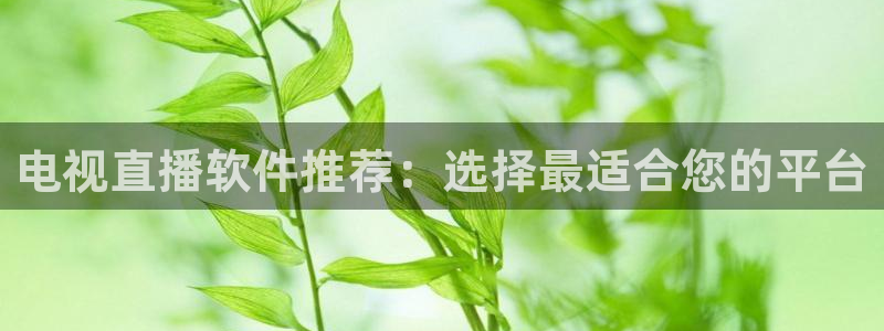下载咪咕视频体育频道直播：电视直播软件推荐：选择最适合您的平台