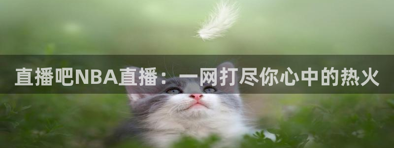 咪咕视频体育直播免费：直播吧NBA直播：一网打尽你心中的热火