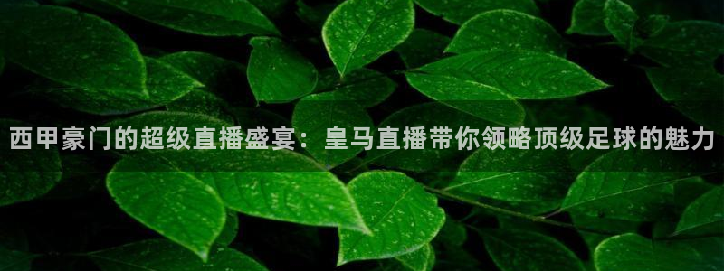 咪咕体育：西甲豪门的超级直播盛宴：皇马直播带你领略顶级足球的魅力