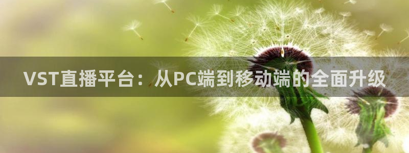 咪咕体育直播在线看：VST直播平台：从PC端到移动端的全面升级