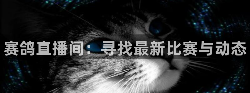 咪咕视频体育直播收费吗：赛鸽直播间：寻找最新比赛与动态