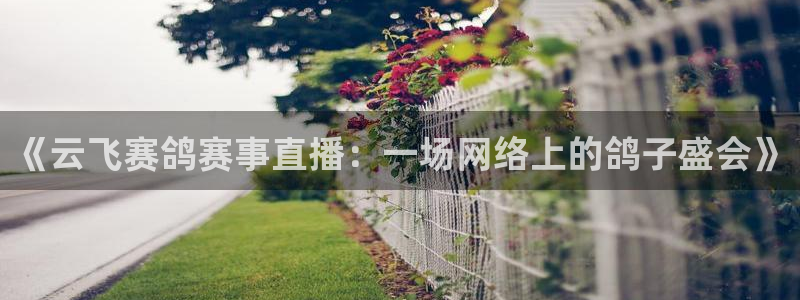 咪咕直播：《云飞赛鸽赛事直播：一场网络上的鸽子盛会》